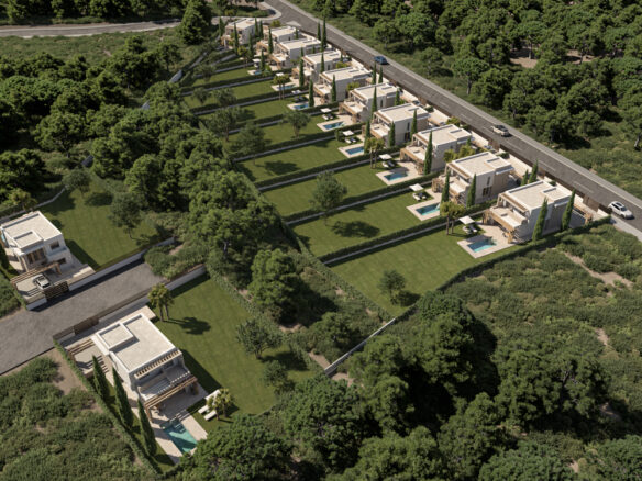 Oliving la Monacilla 02 Aerea2 1